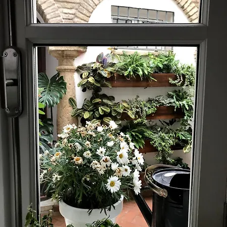 Tatil Evi La Casa Del Retablo *