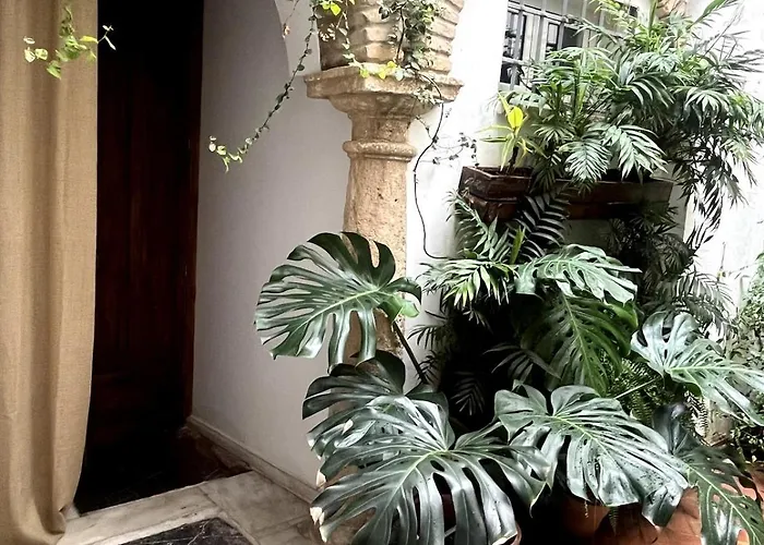 펜션 La Casa Del Retablo 코르도바