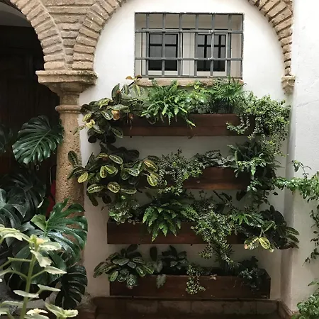 Vakantiehuis La Casa Del Retablo Córdoba